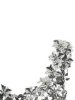 Paco Rabanne Bralette Top